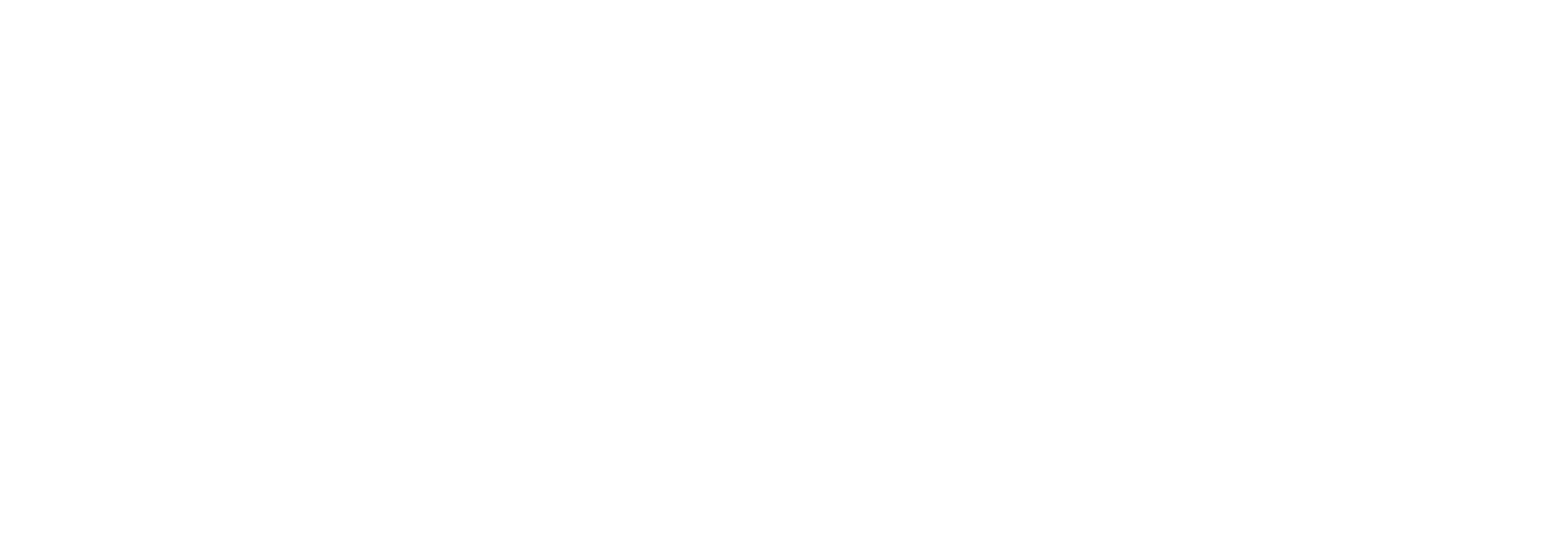 BIZLY — Make your business quickly